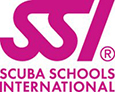 SSI Logo